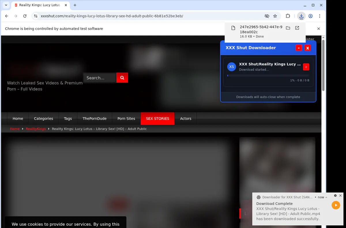 Xxxshut Video Downloader screenshot 2